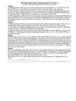 dethihoc sinh gioi hoa 12 -1996-1997 (vong2) DN