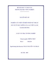 Nghiên cứu một số biện pháp kỹ thuật sản xuất hạt giống lúa lai việt lai 45 tại hải dương 