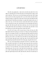 Các phương pháp phòng ngừa rủi ro lãi suất trong điều kiện Việt Nam 