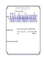 HẠCH TOÁN TIÊU THỤ và xác ĐỊNH kết QUẢ TIÊU THỤ TRONG DOANH NGHIỆP THƯƠNG mại 