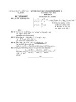 ĐỀ THI CHỌN HỌC SINH GIỎI TỈNH LỚP 12 NĂM HỌC 2010-2011 MÔN TOÁN – SỞ GIÁO DỤC VÀ ĐÀO TẠO HÀ TĨNH