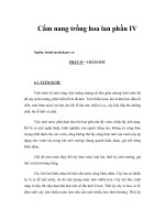 Cẩm nang trồng hoa lan phần IV 