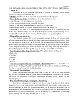 mẫu báo cáo đánh giá tác động môi trường của Lào