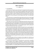 Phân tích chiến lược giá của mạng viettel 