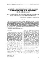 ảnh h-ởng của a-naphtyl axetic axit (a-naa) và chlor cholin chlorit (ccc) đến sinh tr-ởng và năng suất lạc (Arachis hypogaea L.) trên đất cát ở Thừa Thiên Huế