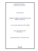 Nghiên cứu đồng (cu) trong đất bạc màu miền bắc việt nam  