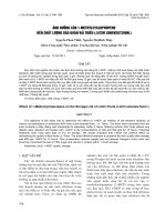 ẢNH HƯỞNG CỦA 1-METHYLCYCLOPROPENE ĐẾN CHẤT LƯỢNG BẢO QUẢN VẢI THIỀU (LITCHI SINENSIS SONN.)