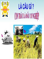 Đuổi hình bắt chữ.2