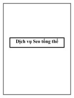 Dịch vụ seo tổng thể 