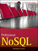 Microsofttech net professional NoSQL