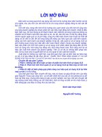 PHÂN TÍCH TÌNH HÌNH QUẢN lý và sử DỤNG VLĐ tại NHÀ máy cơ KHÍ ôtô đà NẴNG 