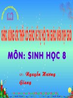 Cơ quan phân tích thị giác