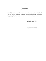 Nghiên cứu một số cây trồng ngắn ngày và cây phủ đất xen giữa các hàng cao su trên vườn cao su nông hộ ở thời kỳ kiến thiết cơ bản tại tỉnh daklak 