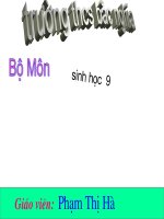 O nhiểm môi trường