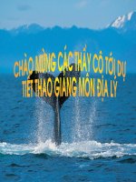 BÌ GIÀN ĐỊA LÍ 11