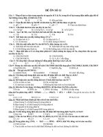 Đề ôn thi thử Hóa – Đại học 11