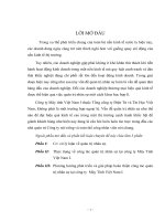 Phương hướng phát triển và giải pháp hoàn thiện công tác quản trị nhân sự tại công ty  Máy Tính Việt Nam I. 