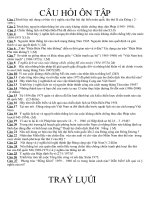 Hướng dẫn ôn tâp LS Việt Nam