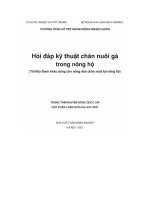 Hỏi đáp kỹ thuật chăn nuôi gà trong nông hộ 