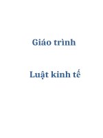 Giáo trình luật kinh tế 