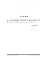 Khóa luận đề tài kế toán TSCĐ tại công ty cổ phần công nghiệp cao su miền nam (CASUMINA) 