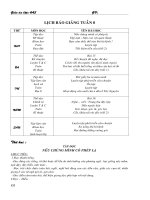 Giáo án khối 4 tuần 8