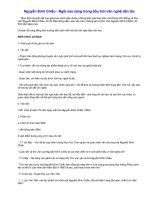 Ôn thi TN-Nguyễn Đình Chiểu - Ngôi sao sáng trong bầu trời văn nghệ dân tộc