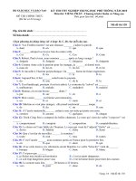 ĐỀ THI TỐT NGHIỆP TRUNG HỌC PHỔ THÔNG NĂM 2010 Môn TIẾNG PHÁP - Chương trình Chuẩn và Nâng cao