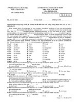 Đề Anh PT Quốc Học 08 (356)
