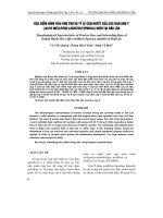 ĐặC ĐIểM HìNH THáI ONG THợ Và Tỷ Lệ CậN HUYếT CủA CáC ĐàN ONG ý