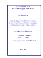 Luận văn đánh giá hiện trạng và đề xuất các loại hình sử dụng đất sản xuất nông nghiệp hiệu quả tại huyện thạch an, tỉnh cao bằng 