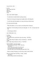 Resume kết hợp -  mẫu 1 