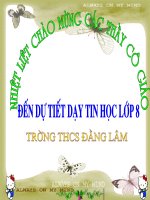 Cau lenh case... of....ppt