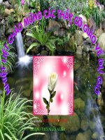 tiet 31 n¨ng suat toa nhiet cua nhien lieu