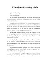 Kỹ thuật nuôi heo rừng lai (2) 