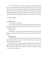 thời kỳ đồ đá và đồ đồng ở việt nam