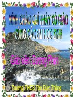 LUYỆN TẬP HỢP ĐÒNG