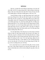 cải cách ngân hàng, những cải cách Việt Nam đã thực hiện được, và kinh nghiệm cải cách  hệ thống ngân hàng của các nước gần gũi với Việt Nam 