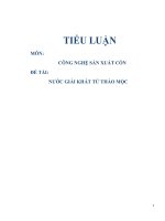 Nước giải khát từ thảo mộc