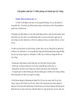 Chế phẩm sinh học vi đk phòng trừ bệnh hại cây trồng 