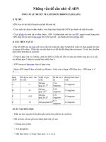 Ôn thi TN -Những vấn đề cần nhớ về ADN