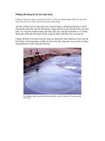 NHỮNG ĐĨA BĂNG KỲ LẠ.....