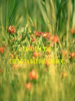 Tiết 126( Bức thư của thủ lĩnh da đỏ)