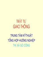 Trat tu giao thong