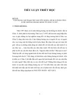 VẬN DỤNG CẶP PHẠM TRÙ NGUYÊN NHÂN- HỆ QUẢ PHÂN TÍCH CUỘC KHỦNG HOẢNG KINH TẾ CHÂU Á 1997