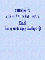 vi khuan