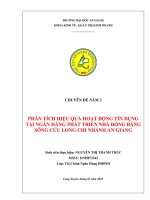 PHAN TICH HIEU QUA HOAT DONG TIN DUNG TAI NGAN HANG PHAT TRIEN NHAN DONG BANG SONG CUU LONG CHI NHANH AN GIANG 