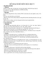 kế hoạch bộ môn hóa học 9