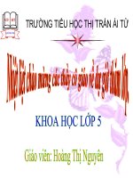 Khoa học: Tác động của con người đến môi trường đất