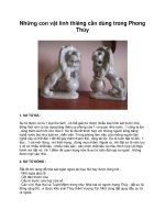 Những con vật linh thiêng cần dùng trong phong thủy 